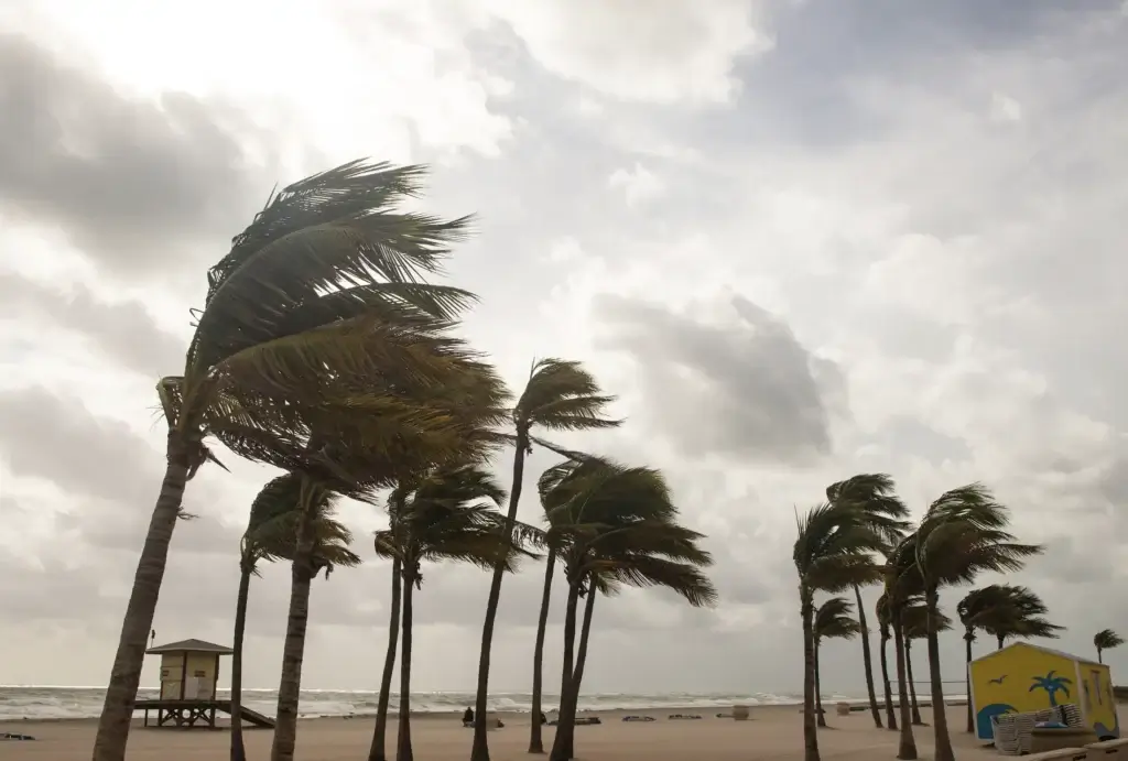 Hurricane Idalia blog post