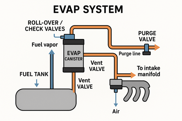 Fuel Tank Pressure diagram of an automotive Evaporative Emission Control System (EVAP system), which prevents fuel vapors from escaping into the atmosphere