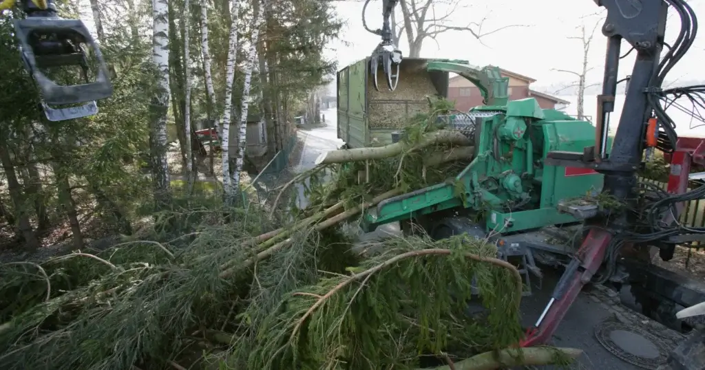 storm cleanup